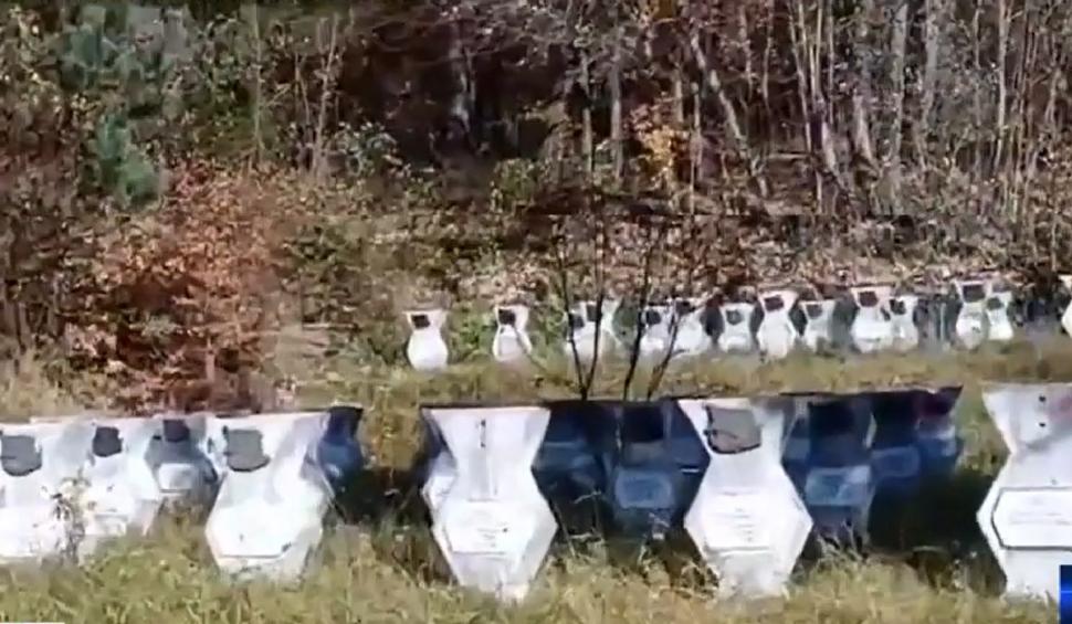 Teolog, strigăt de durere de la Cimitirul Eroilor din Sinaia: "Să ne iertați pentru batjocura pe care o aducem jertfei voastre, că am greșit punând trădătorii aştia să conducă ţara" 734764