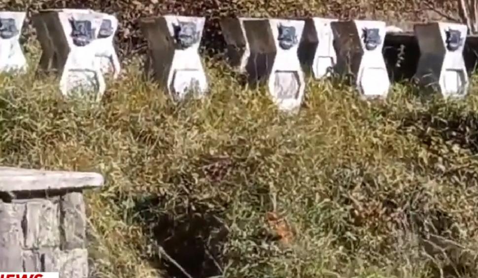 Teolog, strigăt de durere de la Cimitirul Eroilor din Sinaia: "Să ne iertați pentru batjocura pe care o aducem jertfei voastre, că am greșit punând trădătorii aştia să conducă ţara" 734765