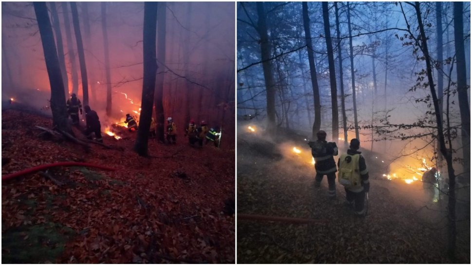 Incendiul de pădure din Oituz, stins după 10 zile. Flăcările uriaşe au izbucnit din cauza unui foc deschis