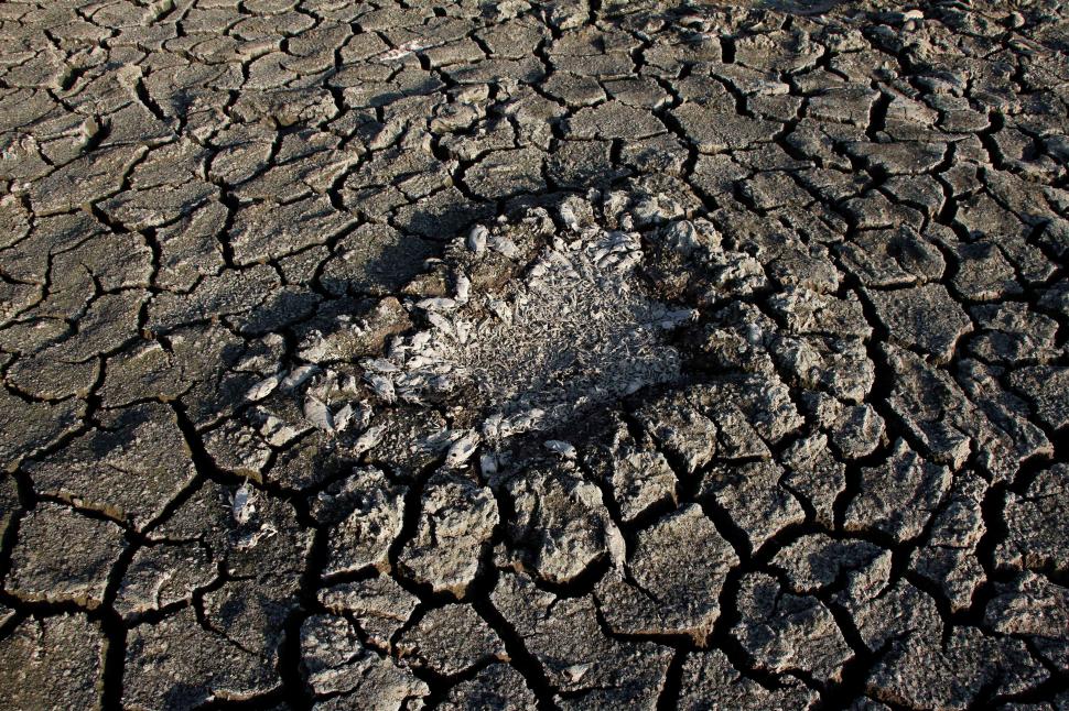 COP26 ratează ținta de 1,5 grade și pecetluiește soarta omenirii. Emisiile vor depăși de două ori plafonul-limită, anunță un organism de monitorizare 735333