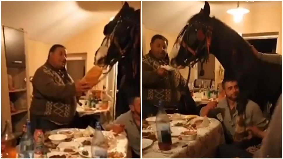 Imaginile momentului surprinse la o petrecere: Un cal la masă, în sufragerie