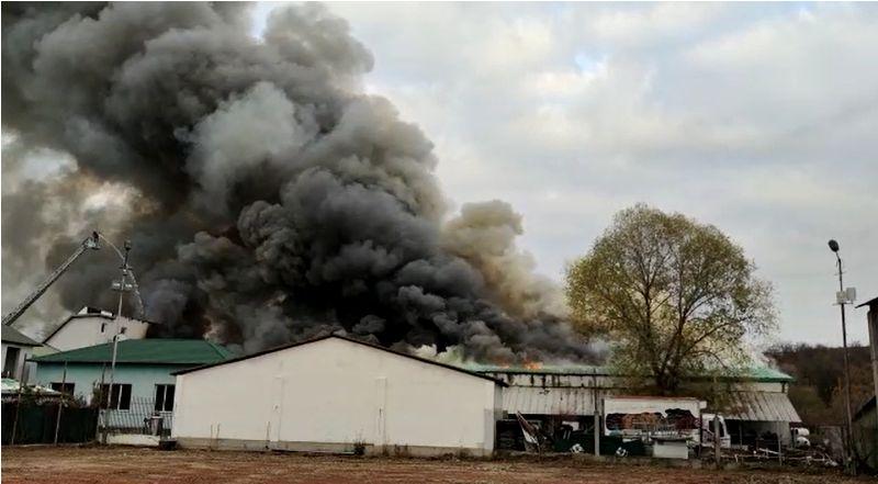Incendiu de proporţii, pe o suprafaţă de 1.000 de metri pătraţi, la o fabrică de mezeluri din Olt 736081