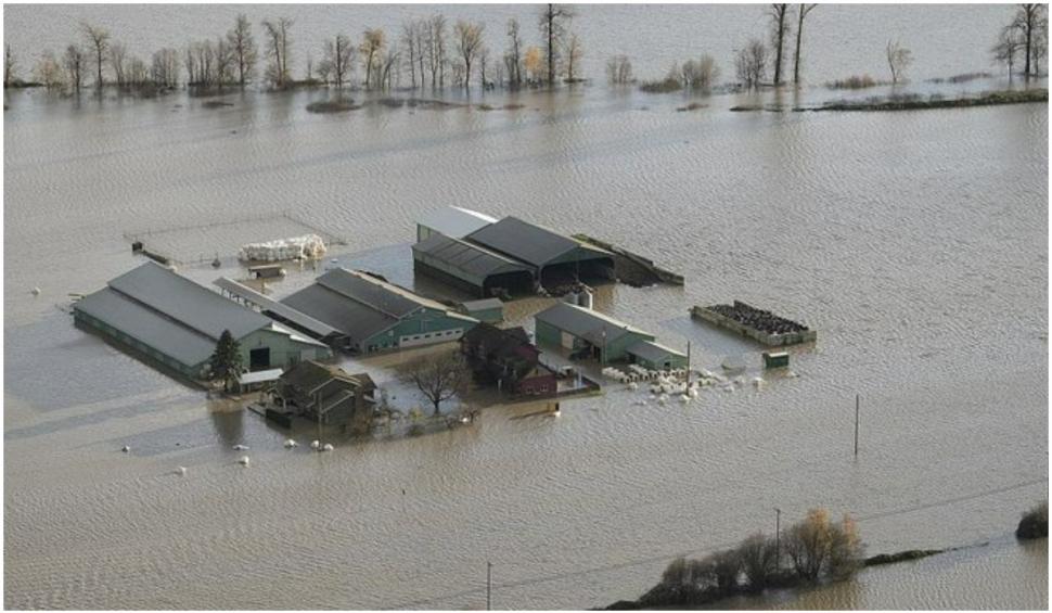 Cea mai puternică furtună dintr-un secol a lovit oraşul Vancouver 736523