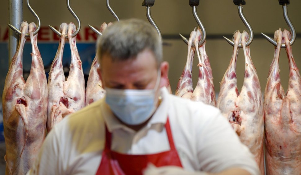 20 de tone de mațe de porc, cu un antibiotic periculos, au fost reținute în portul Constanța 