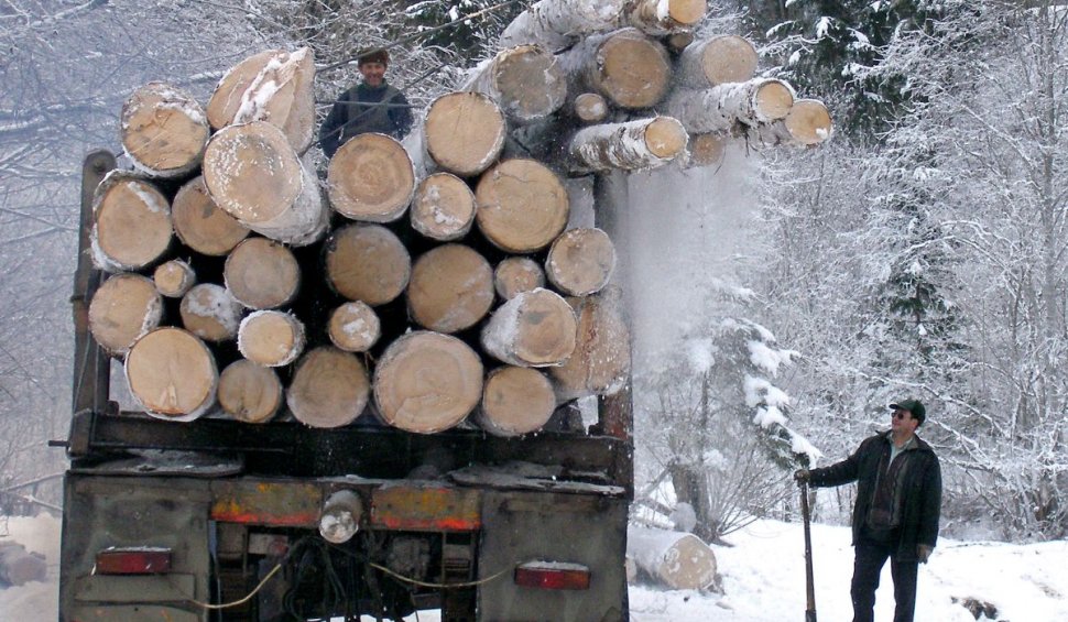 Românii ar putea rămâne fără banii de lemne, în prag de iarnă. Ministerul Muncii a rămas fără bani