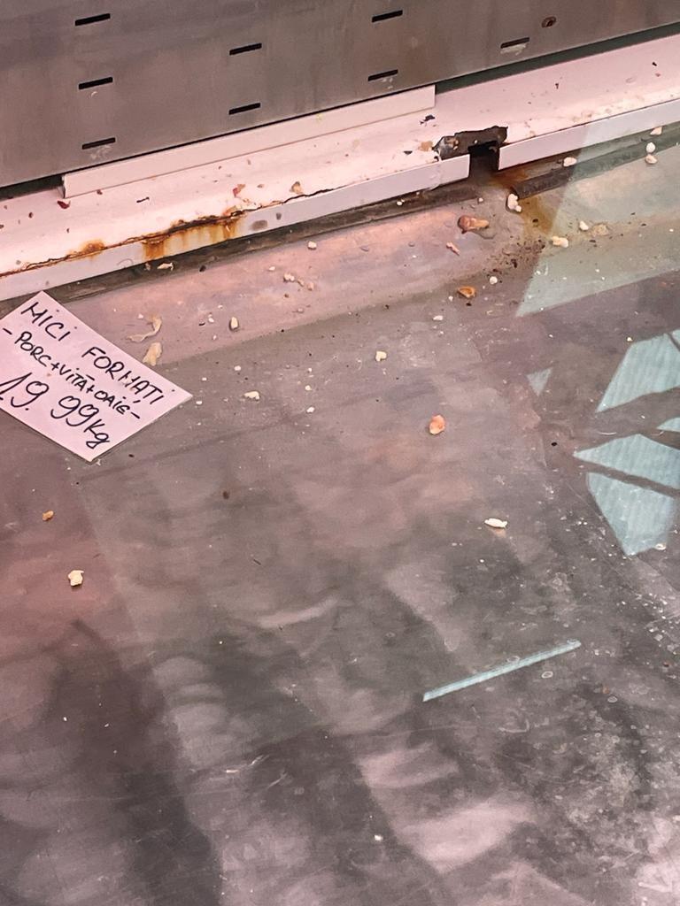 Mizerie, mucegai și gândaci în mai multe piețe din București. Amenzi de peste 135.000 de lei, un magazin și o piață închise de ANPC 737479