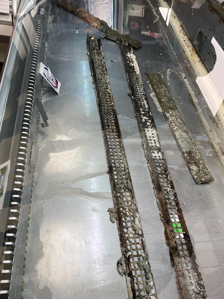 Mizerie, mucegai și gândaci în mai multe piețe din București. Amenzi de peste 135.000 de lei, un magazin și o piață închise de ANPC 737483