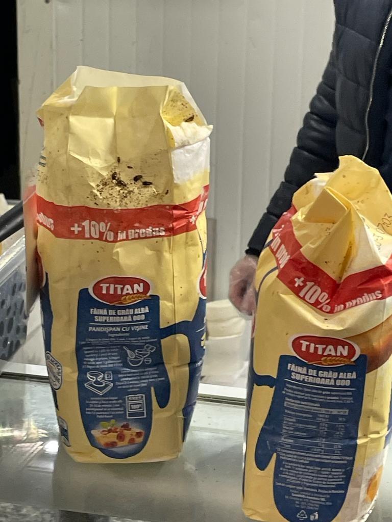 Mizerie, mucegai și gândaci în mai multe piețe din București. Amenzi de peste 135.000 de lei, un magazin și o piață închise de ANPC 737484