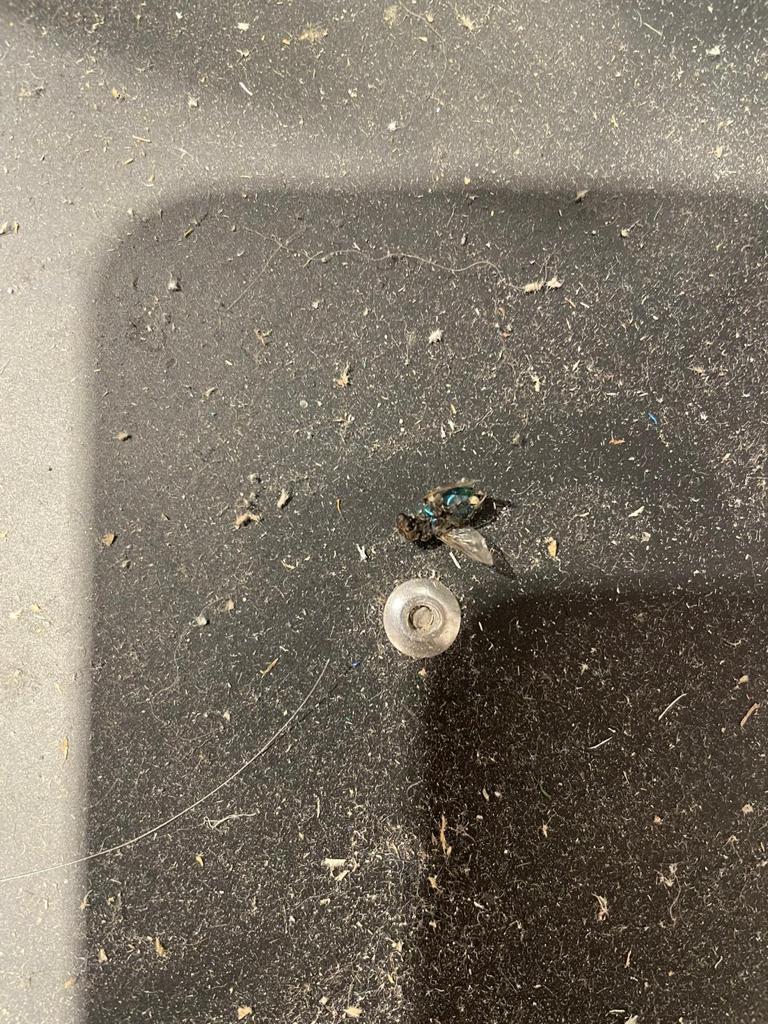 Halele Obor din Capitală, închise temporar de comisarii ANPC. Aceștia au găsit mizerie, păr și insecte moarte 737686