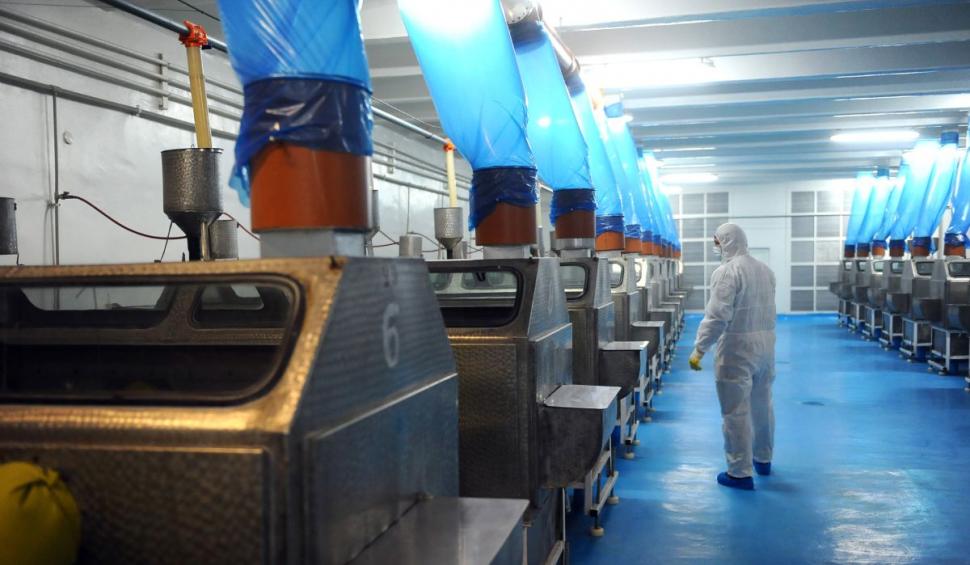 Imunoglobulinele IgY specifice din ou, inovație în terapia antimicrobiană și imunologie 738279