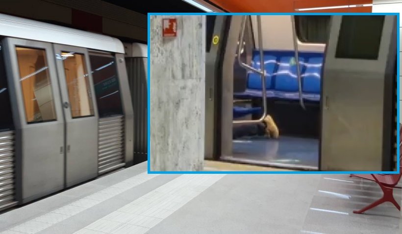 Circulație perturbată la metrou după ce unui călător i s-a făcut rău 
