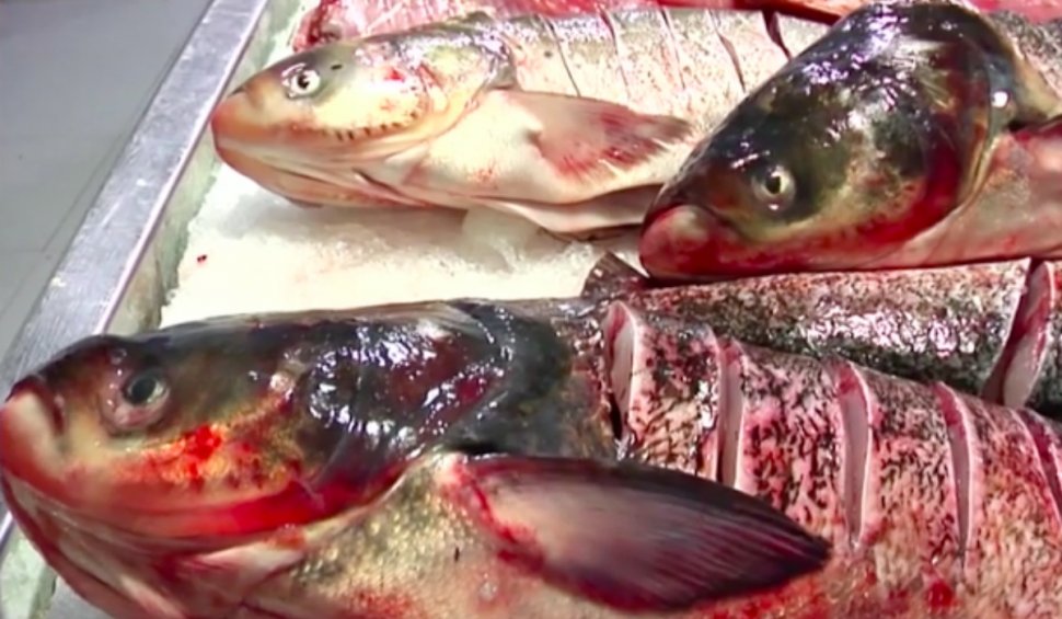 Peștii din Dunare și Marea Neagră ne pot îmbolnăvi de cancer. Explicația specialiștilor