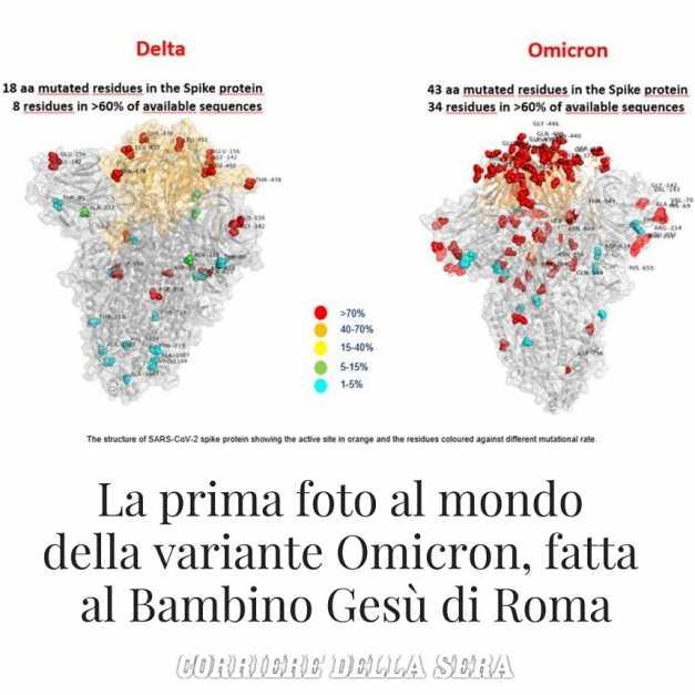 A apărut prima "imagine" a variantei Omicron. Cercetătorii au găsit un număr mult mai mare de mutaţii comparativ cu Delta 738563