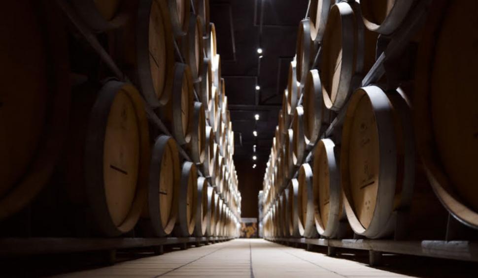 Vinuri medaliate. Bacanta Merlot Barique printre preferațele clienților 738668