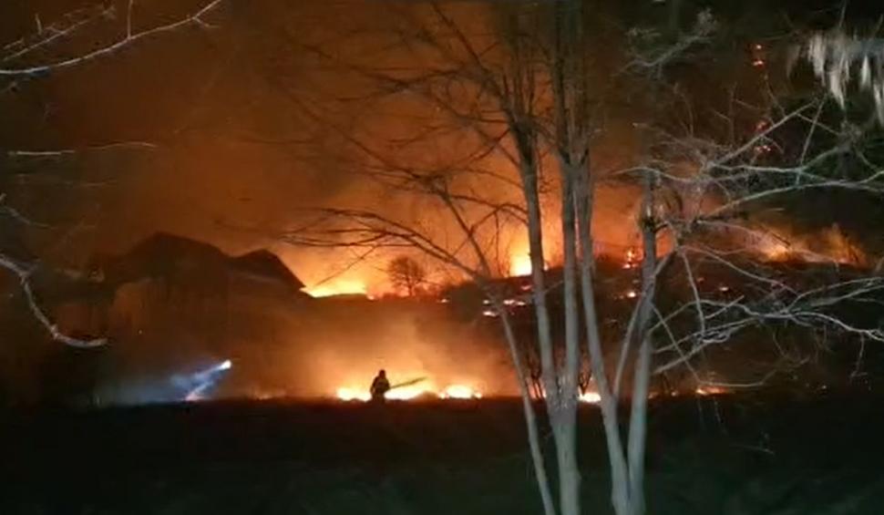 Incendiu de vegetație pe muntele Pietricica, Neamţ. Focul uriaș se apropie de zonele locuite 738833