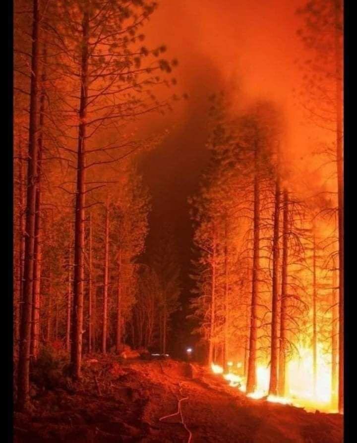 Incendiu de vegetație pe muntele Pietricica, Neamţ. Focul uriaș se apropie de zonele locuite 738839