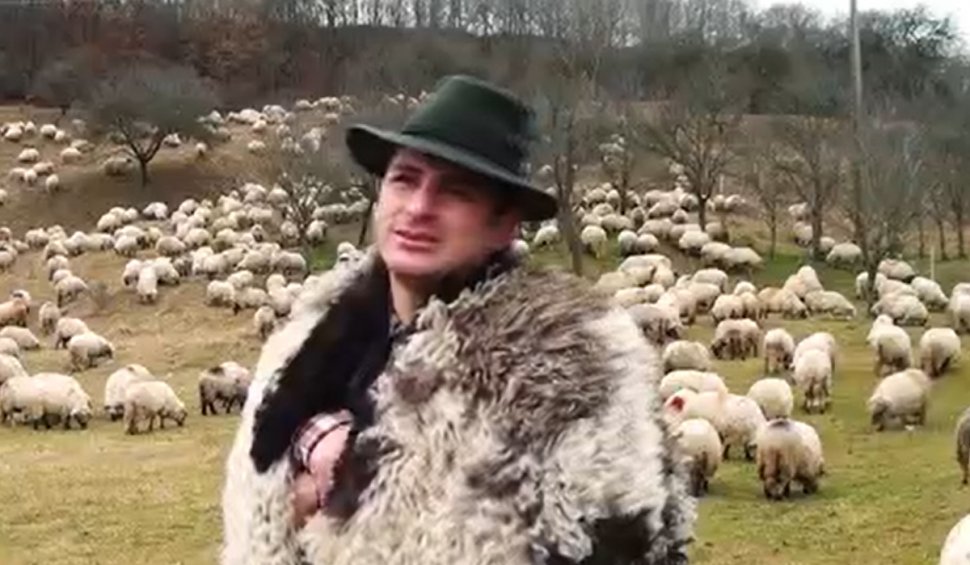Povestea lui Ştefan, ciobanul cu două facultăţi şi idei de business, ajuns model pentru comunitatea din Alba