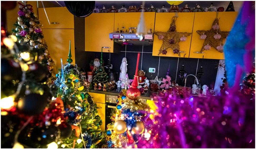 O familie din Gemania a împodobit 444 de brazi de Crăciun în casă. Niciunul nu seamănă cu celălalt 739872