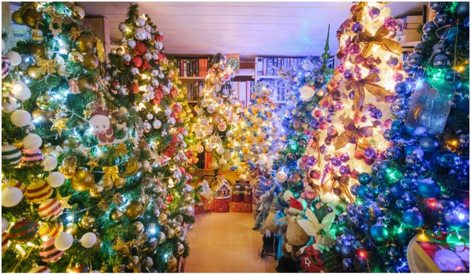 O familie din Gemania a împodobit 444 de brazi de Crăciun în casă. Niciunul nu seamănă cu celălalt 739878