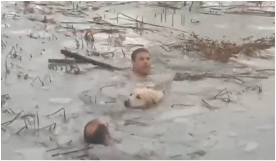 Doi poliţişti spanioli au intrat în apa îngheţată pentru a salva un câine