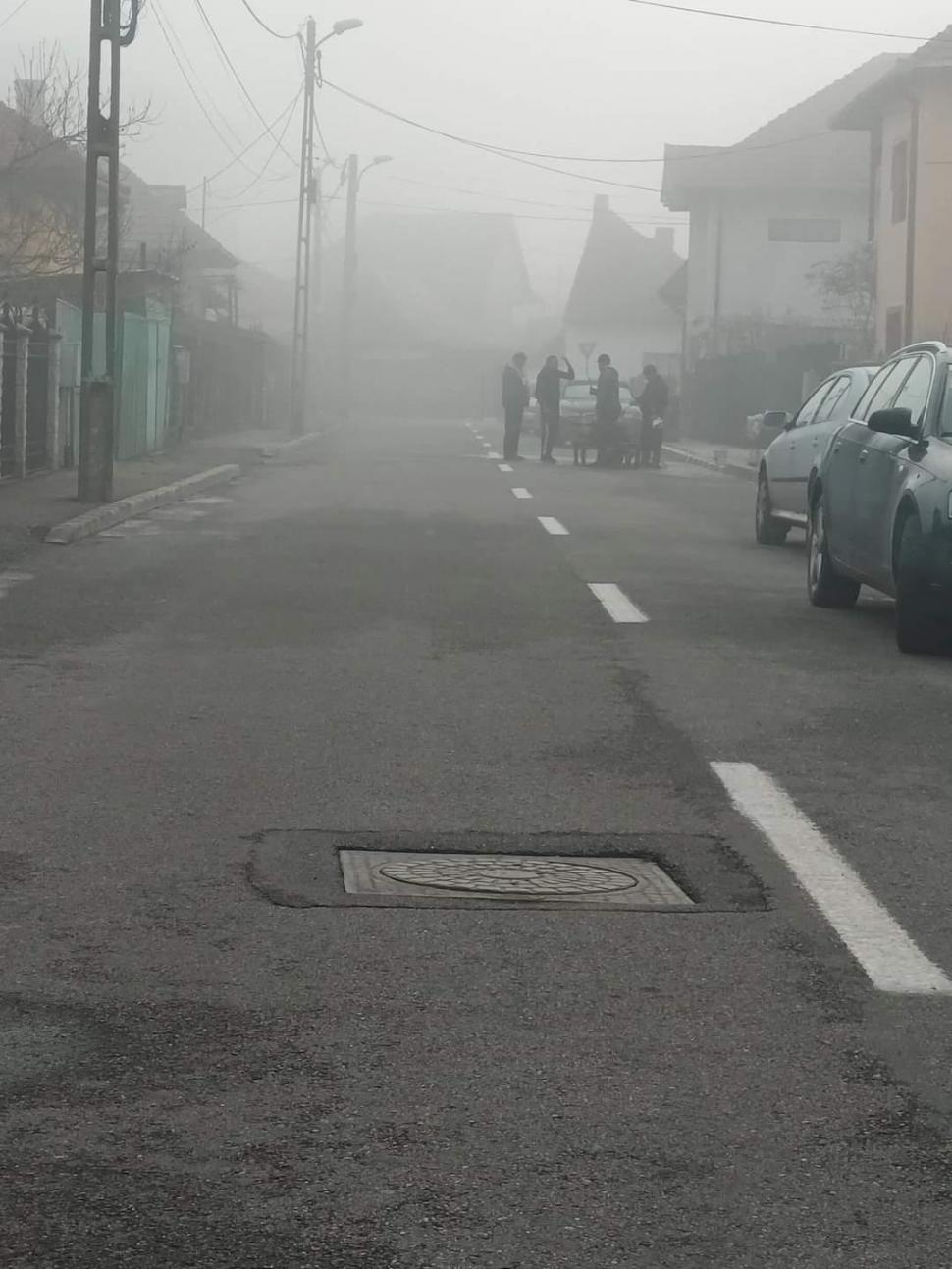 "Doar în România poți vedea așa ceva!". Cum a tăiat o familie din Târgu Jiu porcul în mijlocul străzii  740102