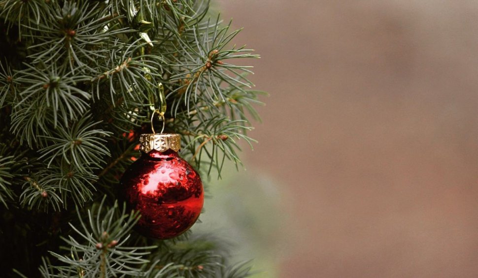 Cum se întreține bradul de Crăciun pentru a rezista pe toată perioada sărbătorilor
