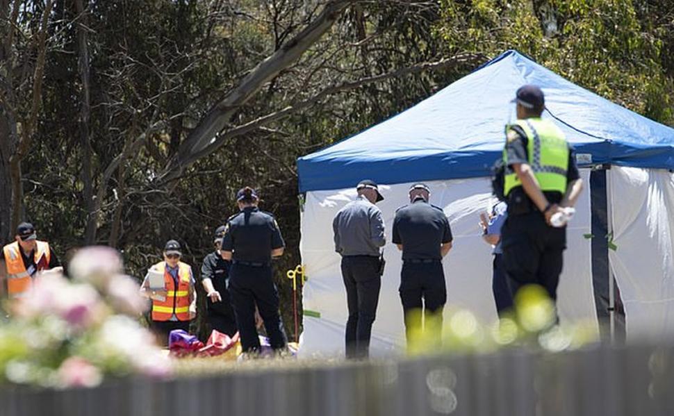 Cinci copii au murit la serbarea de sfârșit de an școlar după ce au fost aruncați în aer, într-un castel gonflabil, în Australia 741167