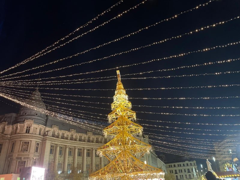 Control ANPC la Târgul de Crăciun din București