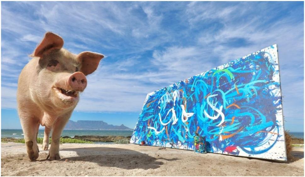 Pigasso: cel mai talentat pictor purcel. Cea mai recentă opera a sa a fost vândută cu 20.000 de lire sterline 741823