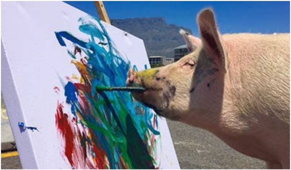 Pigasso: cel mai talentat pictor purcel. Cea mai recentă opera a sa a fost vândută cu 20.000 de lire sterline 741824