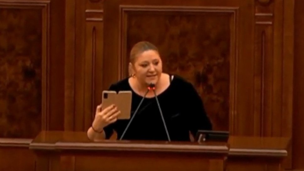 Scandal în Parlament! Diana Șoșoacă l-a jignit pe președintele Comisiei Senatului