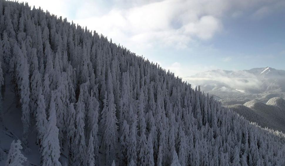 Zăpadă ca-n poveşti pe pârtiile de schi din zona superioară a masivului Postăvarul. Prețurile la transportul pe cablu au suferit modificări 742290