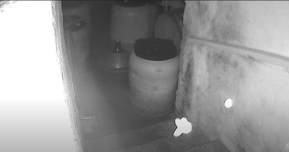 Lăcrămioara spune că e vizitată de fantome, în Bacău: "Oricine a avut o aşa experienţă, dar oamenii nu spun, să nu fie catalogaţi altfel" 742637