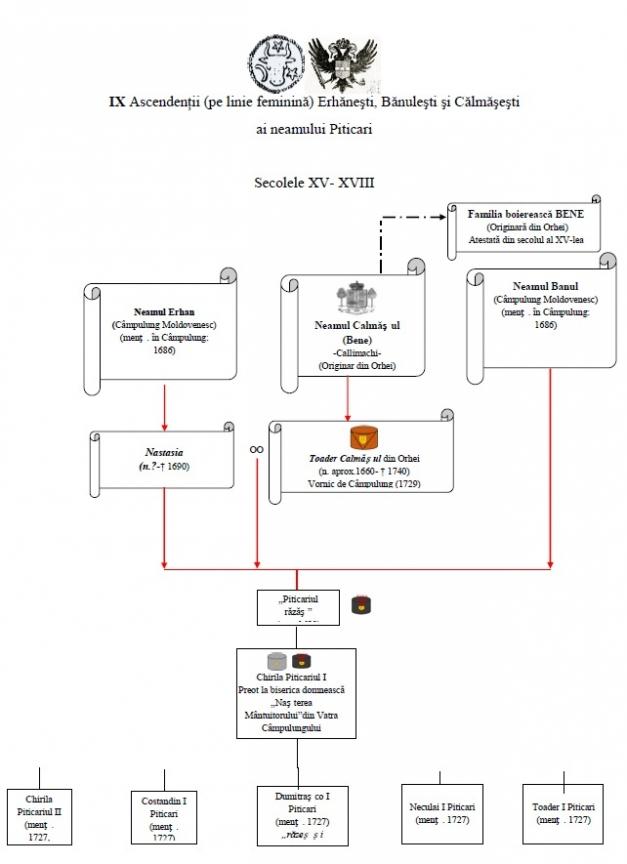 Descoperirea făcută de un bărbat din Iaşi care şi-a făcut arborele genealogic până la anul 1260 744376