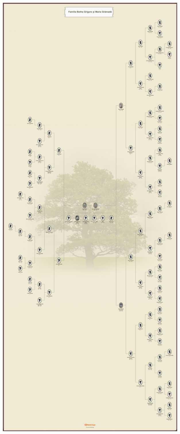 Descoperirea făcută de un bărbat din Iaşi care şi-a făcut arborele genealogic până la anul 1260 744377