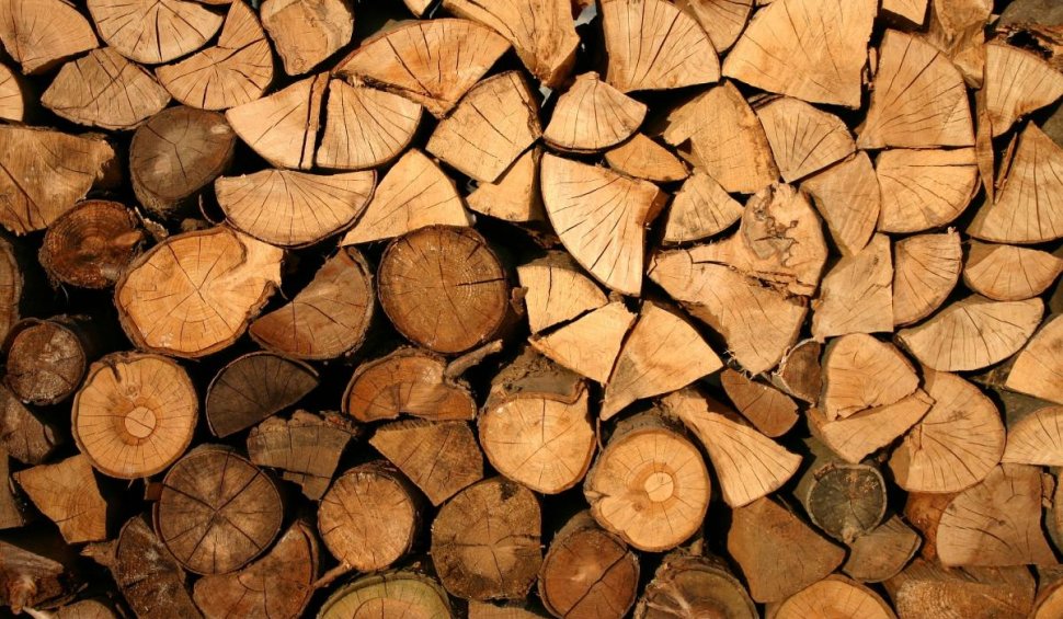 Romsilva, mesaj pentru românii care se încălzesc cu lemne. Cum ar putea fi ajutați să se aprovizioneze