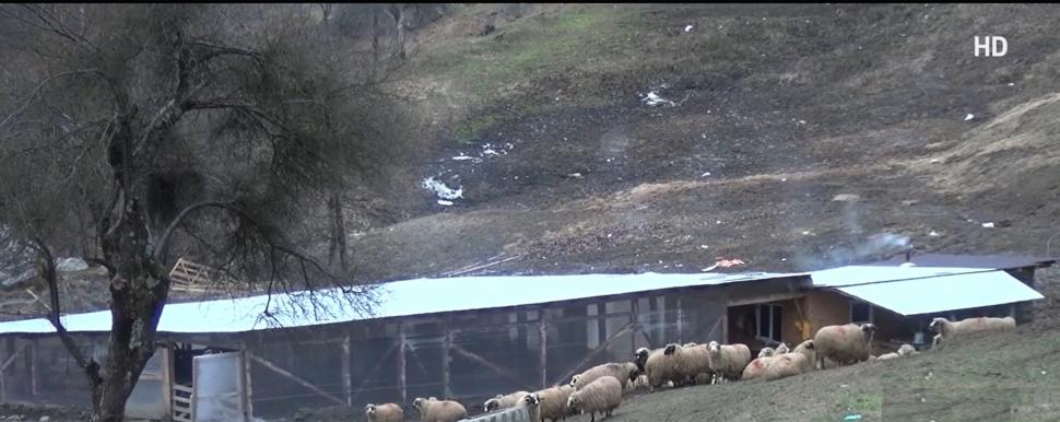 Primele imagini cu oraşul monahal construit de Gigi Becali în inima României. "Nu vor intra femeile, nici animale de parte femeiască"  744688