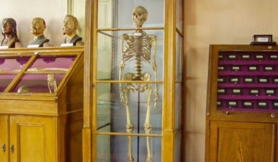Nea Costică, un fost portar al Muzeului de Ştiinţe din Aiud, şi-a donat scheletul prin testament