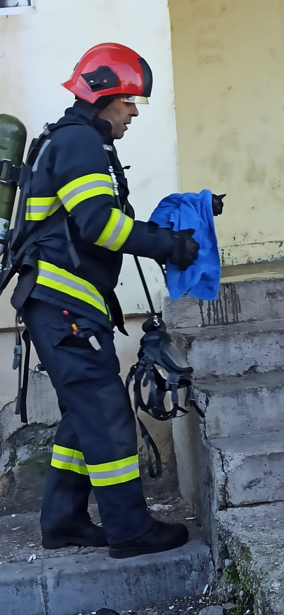 20 de oameni și o pisică, salvaţi de pompieri dintr-un incendiu la un bloc din Alexandria, Teleorman 745560