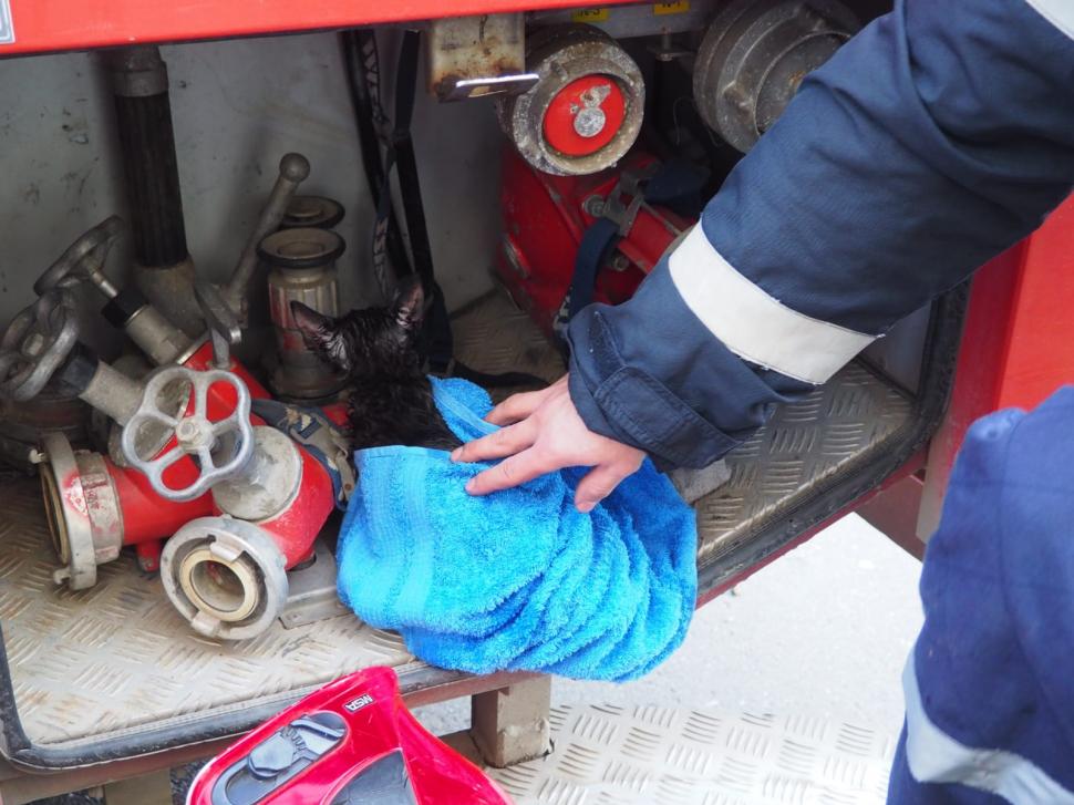 20 de oameni și o pisică, salvaţi de pompieri dintr-un incendiu la un bloc din Alexandria, Teleorman 745565