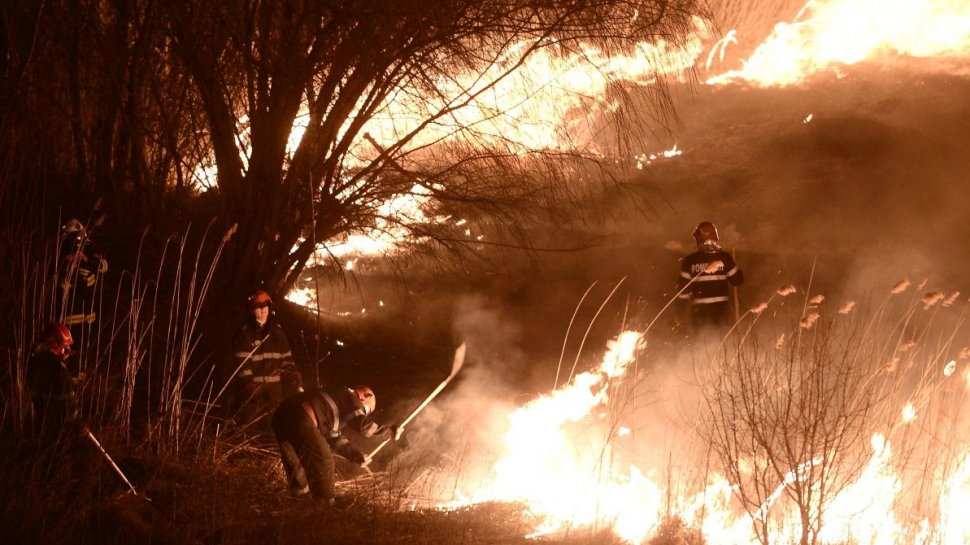 Incendiu puternic de vegetaţie în judeţul Buzău. Focul se extinde rapid, din cauza vântului puternic