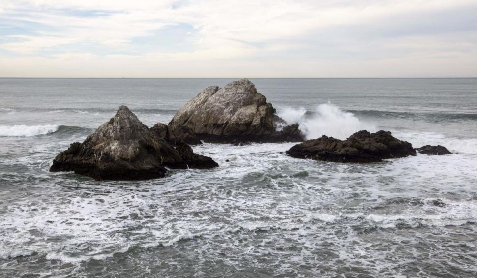 Povestea Angelei, femeia ucisă de tsunami în timp ce încerca să-și salveze câinii, după erupția din Tonga 745887