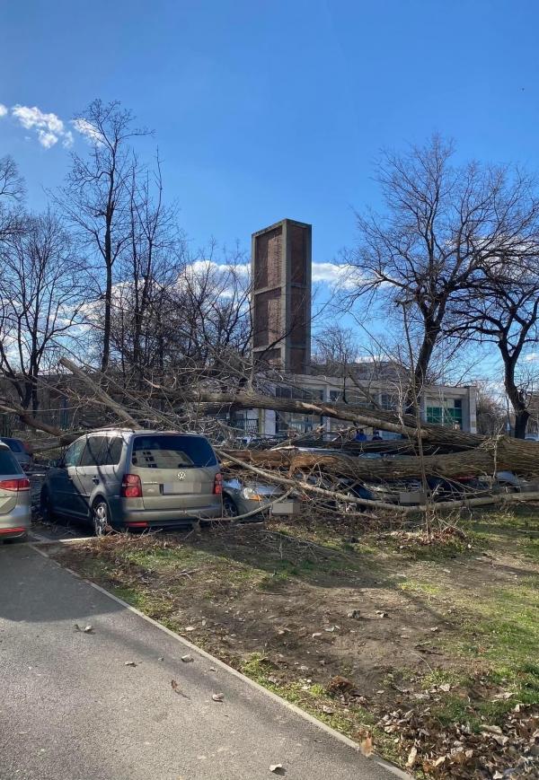 Vântul puternic a făcut ravagii în România: Accidente, copaci doborâţi, acoperişuri de bloc smulse 746090