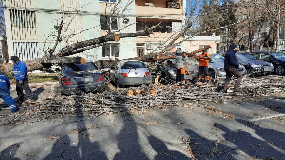 Vântul puternic a făcut ravagii în România: Accidente, copaci doborâţi, acoperişuri de bloc smulse 746091