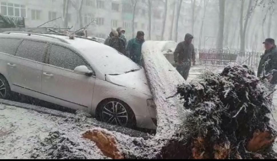 Vântul puternic a făcut ravagii în România: Accidente, copaci doborâţi, acoperişuri de bloc smulse 746107