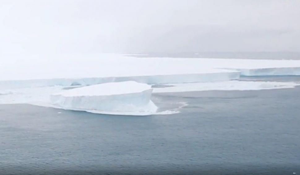 Povestea lui A68, uriașul iceberg care era să eșueze în Georgia de Sud. A generat un trilion de tone de apă dulce în ocean și efecte încă necunoscute asupra mediului 746456