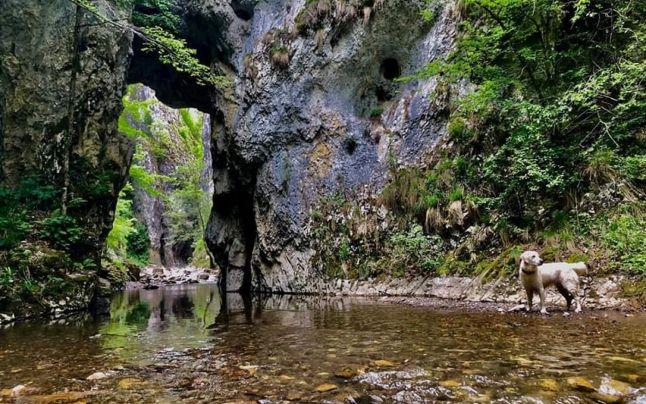 Imagini de basm surprinse în Cheile Râmeţului, micul canion din Munții Apuseni 747006