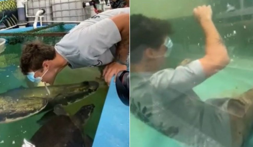 Tânăr făcut KO de un peşte, clip viral pe TikTok: "Culcat!"