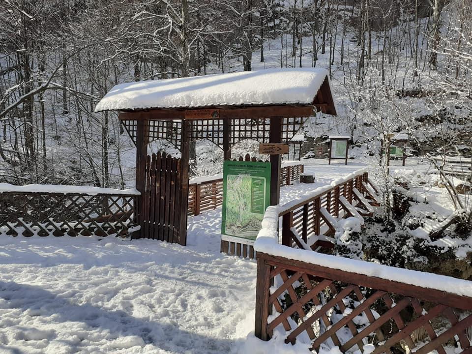 Imagini de poveste surprinse la Cascada Bigăr şi Cârşa: "Este o priveliște minunată și o oază de liniște" 747826