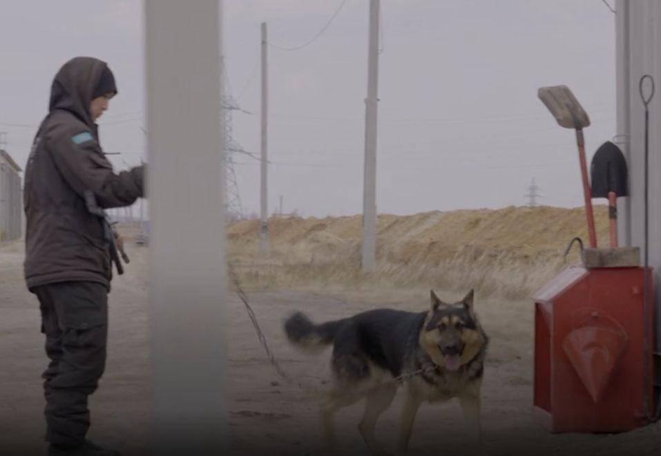 Misterele minei de criptomonede din Kazahstan. "Când vin la muncă, aud sunetul banilor!" 748077